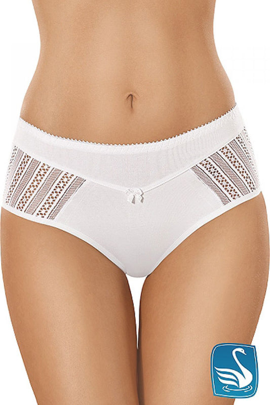 Panties - Premium Comfort Panties, Briefs, And Undies - Stylish & Soft Everyday Essentials-You Won't Believe How Comfortable These Briefs, Undies, and Panties-Ayla Boutique