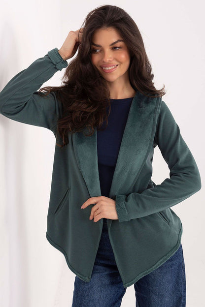 Women's Grey, Green, and Navy Blue Sweatshirt back view