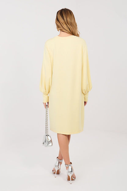  Daydress model 224977 Rue Paris 