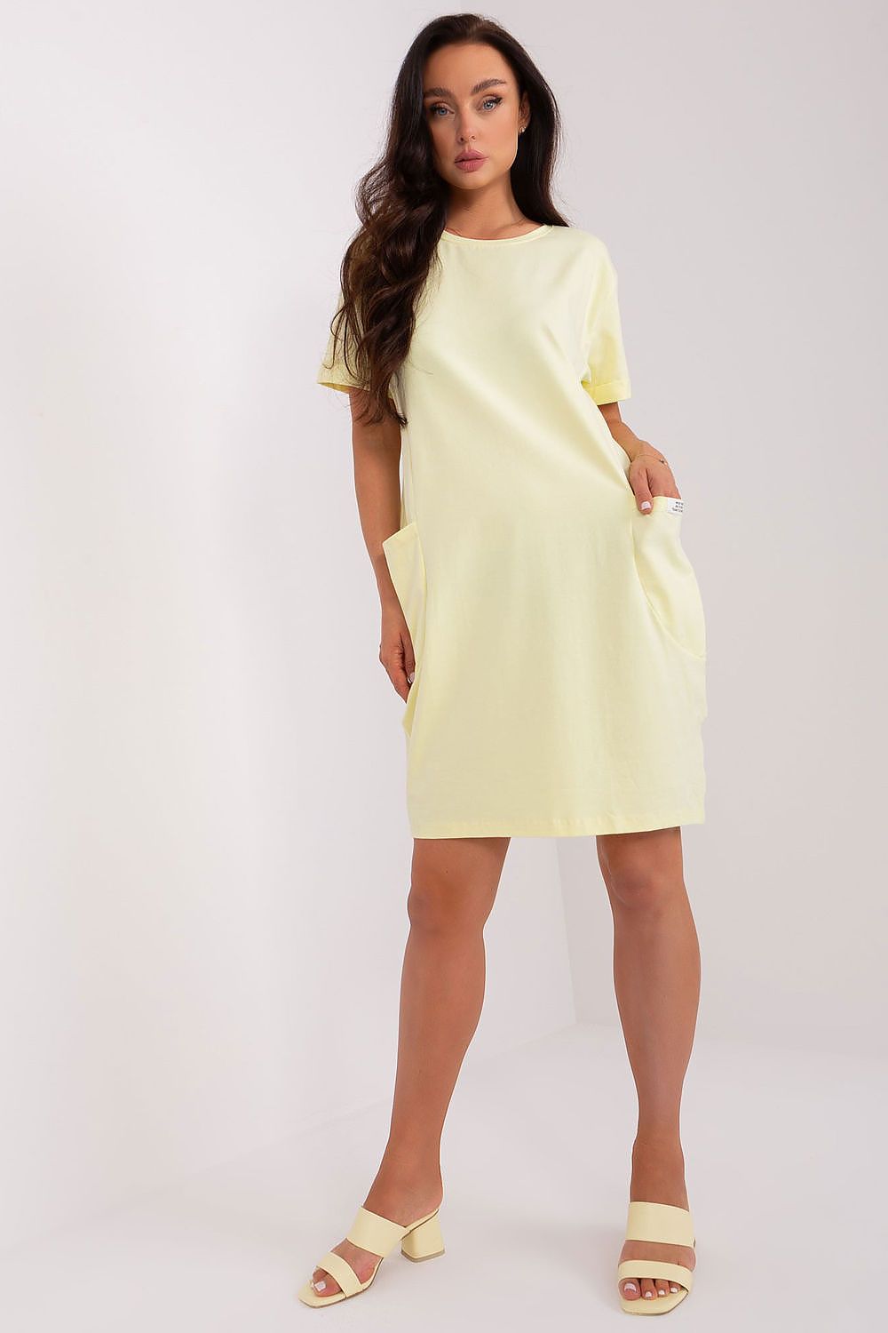 pink short sleeve mini day dress back view